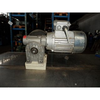 B14662 Getriebemotor 0,37 kW 159 U/min B3 Schneckengetriebe