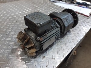 Getriebemotor 0,75 kW 62 U/min B5 gebraucht B17483