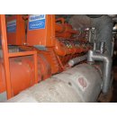 B11219 |  Stromgenerator Biogas Strom Anlage Generator  910kVA Gas Motor Waukesha Model: P48GLD